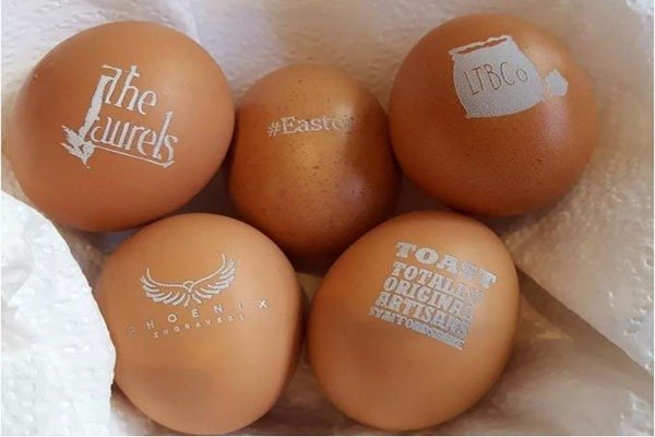 Egg Shell Laser Marking